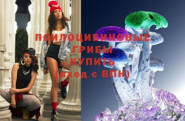 крисы Покачи